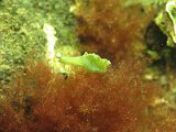 2015-10-03 13-19-30